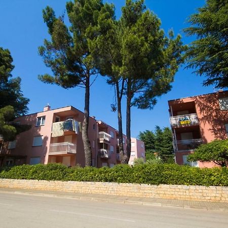 Roza Apartment Novigrad Istria Exterior foto